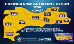 Erzincan Merkez ve İlçelerde Konut Sayıları Tek Tek Belli Oldu: En Fazla Konut Tercan’a!