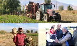 Erzincan'da Şeker Pancarı Bereketi
