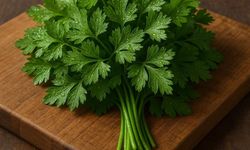 Maydanoz Sararmasın: Uzmanlardan Tazeliği Uzun Süre Koruma Yöntemleri