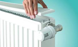 Evdeki Tozun Kaynağı Petekler Olabilir! 10 Dakikada Tertemiz Yöntem