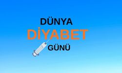 Dünya Diyabet Günü Erzincan’da Hatırlatıldı