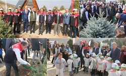 Ergan Dağı’nda Binlerce Fidan Toprakla Buluştu: Geleceğe Nefes Olacak Etkinlik