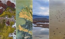 Erzincan’ın Gizli Cenneti: Ekşisu Sazlığı’nda Doğayla Sessiz Buluşma