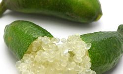 Finger Lime: Limonun Parlayan İnceliği
