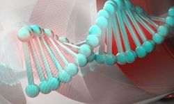 Genetik Tedavide Çığır Açan Yöntem: CRISPR Artık Daha Güvenli ve Etkili Taşınıyor