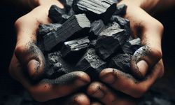 Madenler: Hayatımızın Gizli Gücü