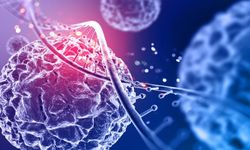 Kök Hücre Tedavisi: Umut ve Gerçekler