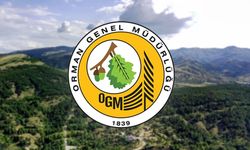 Orman Genel Müdürlüğü 496 Sözleşmeli Personel Alımı Yapacak