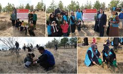 Rahmet Ormanı’na Fidanlar Can Buldu