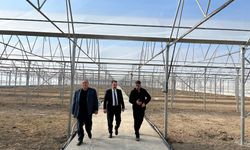 Şireci Toplu Sera Alanında İncelemelerde Bulundu