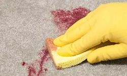 Şalgam Lekesi Panik Olmayın! Kıyafet, Halı ve Koltuktan Böyle Çıkıyor!