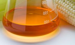 Mısır Şurubu: Tatlı Tehlikenin Arkasındaki Gerçek!