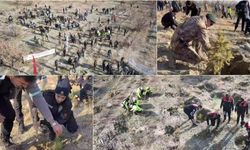 Emniyetten Anlamlı Dokunuş