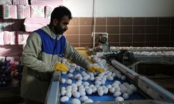 Erzincan'da 13 Milyonluk Yatırımla Yumurtada Teknoloji Dönemi Başladı