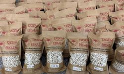 Erzincan’da Yerli Islah Ürünü Kuru Fasulye Satışa Sunuldu! Peki Kaç Lira?