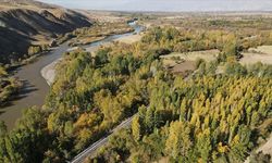 Erzincan’ın Toprağından Bilime Sürpriz Çıktı