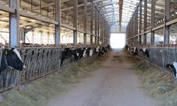 Erzincanlı Çiftçilere Destek Ödemeleri Yapıldı