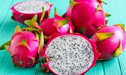 Evde ve Bahçede Ejder Meyvesi Yetiştirmenin Püf Noktaları