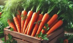 Havuçları Aylarca Taze Tutan Basit Yöntem