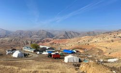 Kemah’ta 5.000 Küçükbaş Kapasiteli İşletmede İnceleme