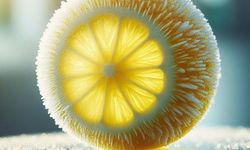 Limonu Dondurun, Lezzeti Katlayın