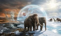 Bilim İnsanları Mamutları Geri Getiriyor!