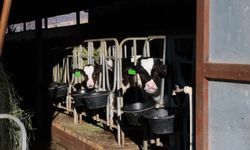 Vali Aydoğdu’dan Üzümlü’de TKDK Destekli Süt Tesisine Ziyaret