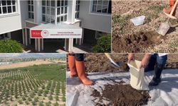 Toprağın Sırrı Bu Videoda: Doğru Numune Nasıl Alınır? (VİDEO)