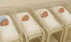 TÜİK Açıkladı: Erzincan'ın Vazgeçilmez İsimleri Belli Oldu!