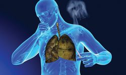 Akciğer Kanserine Karşı Genetik Hamle: DNA Aşısı Farelerde Tümör Büyümesini Yavaşlattı