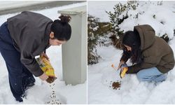 Çocuklardan Sokak Hayvanlarına Anlamlı Destek!