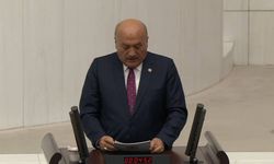 Ergan Dağı Meclis Gündeminde