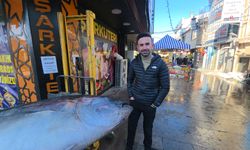 Erzincan’da Dev Orkinos Sürprizi: 365 Kiloluk Balık Tezgahta İlgi Odağı Oldu (VİDEO)