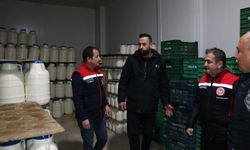 Gelenekten Geleceğe Uzanan Lezzet: Erzincan Tulum Peyniri