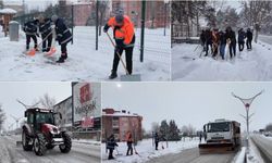 Erzincan’da Kar Seferberliği