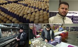 Erzincan’dan Bölgeye AB Standartlarında Yumurta