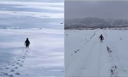 Erzincanlı Veterinerlerin “Nihilist Penguen” Göndermesi