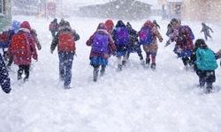 Erzincan’da Kar Tatili Genişledi: Çayırlı ve Kemah’ta Eğitime Ara