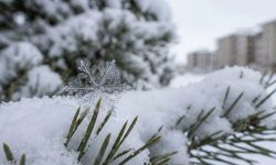 Erzincan Hafta Sonuna Kar Yağışıyla Giriyor