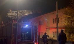 Erzincan'da Çatıda Mahsur Kalan Kediye İtfaiye Müdahalesi (VİDEO)