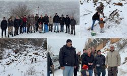 Kemaliye’de Kışa Karşı Vicdan Seferberliği: Yaban Hayatı İçin Doğaya Yem Bırakıldı