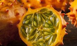 Kiwano Meyvesi: Boynuzlu Kavunun Faydaları ve Tüketim Rehberi