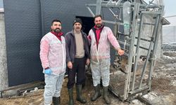 Üzümlü Köylerinde Büyükbaşlara Sağlık Mesaisi