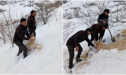 Kemah'ta Yaban Hayatına Destek (VİDEO)