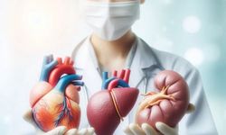 Yapay Organlar Umut Vaat Ediyor