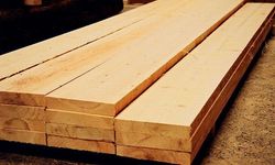 Ahşapta Gizli Tehlike: Nem, Dayanımı Nasıl Çökertiyor?