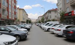 Kapıdaki İkinci Araç İki Maaş Götürüyor