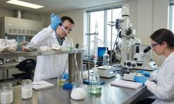 Bilim İnsanları Kanıtladı: Bor, Kanser Hücrelerini Yok Ediyor!