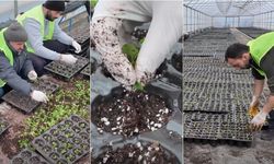 Erzincan Bahara Renkleniyor