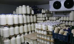 Erzincan Tulum Peyniri’nin İzinde: Üretim Tesislerinde Denetim ve İnceleme